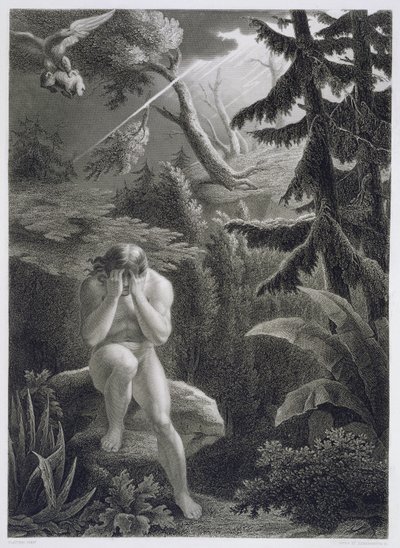 Adam valittelee syntisyyttään Goulun ja Rensonnetten kaivertaman John Miltonin (1608-74) ranskalaisesta versiosta "Kadonnut paratiisi", joka julkaistiin vuonna 1868. tekijältä Richard Edmond Flatters